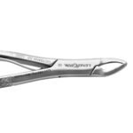 Lenox Instruments Paediatric Extracting Forceps Fig. 365/150SK - Image 2