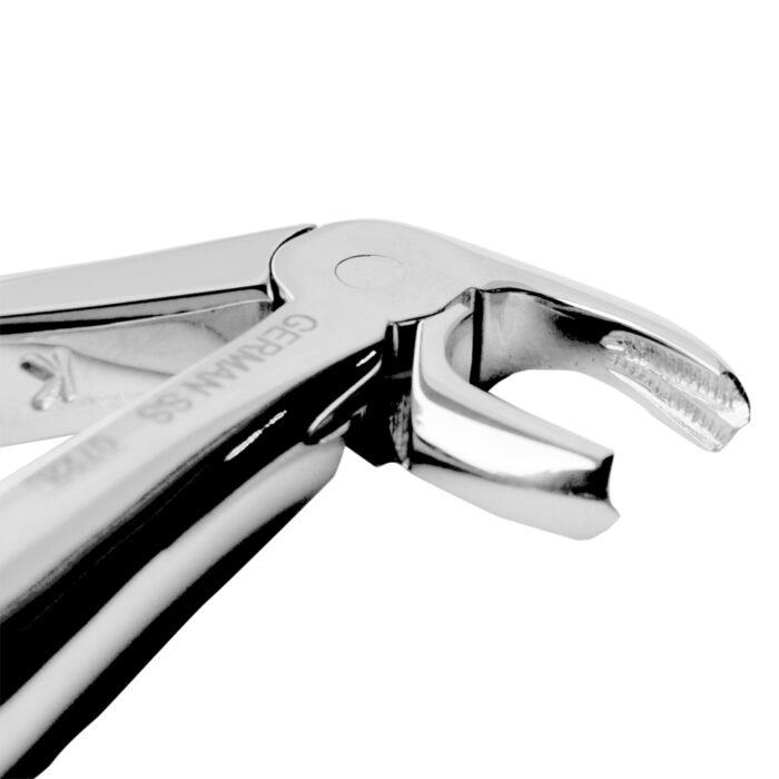 Baby Extracting Forceps English Pattern Klein #7 Pedodontic Lower Roots - Image 4