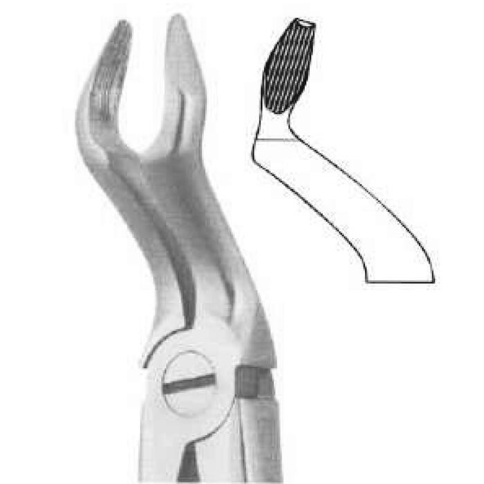 Deep Gripping Forceps #67 Upper Third Molars - Image 1