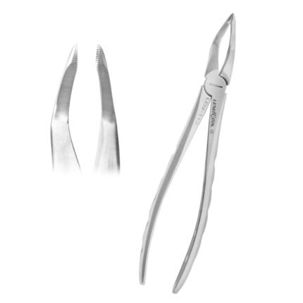 Bayonet Upper Roots Forceps - Micro Serrated Edges - Precision Dental Surgical Instrument