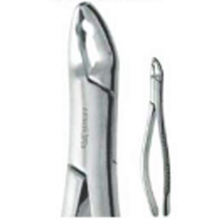Extracting Forceps Fig. 150 AS - Precision Dental Surgical Instrument
