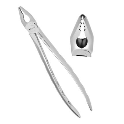 Premium Deep Gripping Extracting Forceps Upper Anterior