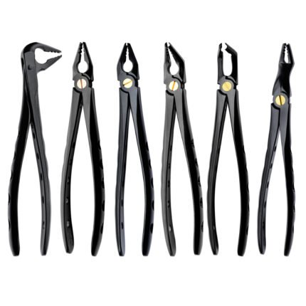 Deep Gripping Extracting Forceps Set of 6 - Premium Dental Extraction Instrument Kit