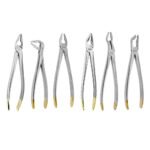 Prime Universal Atraumatic Extracting Set Deep Gripping