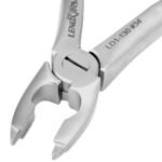 Deep Gripping Forceps #34 Upper Incisors and Premolars - Image 4